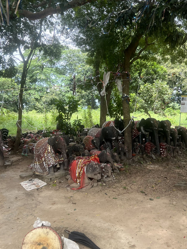 Kapilvastu: An Ancient Wonder and the hometown of lord Buddha.
