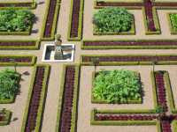 Château de Versailles Gardens