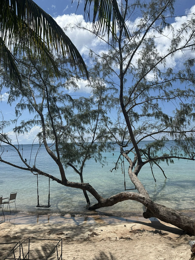 Sai Ri Beach  @Koh Tao💚🏝️