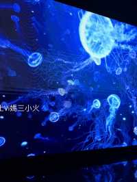 《沖繩親子景點| DMM水族館》