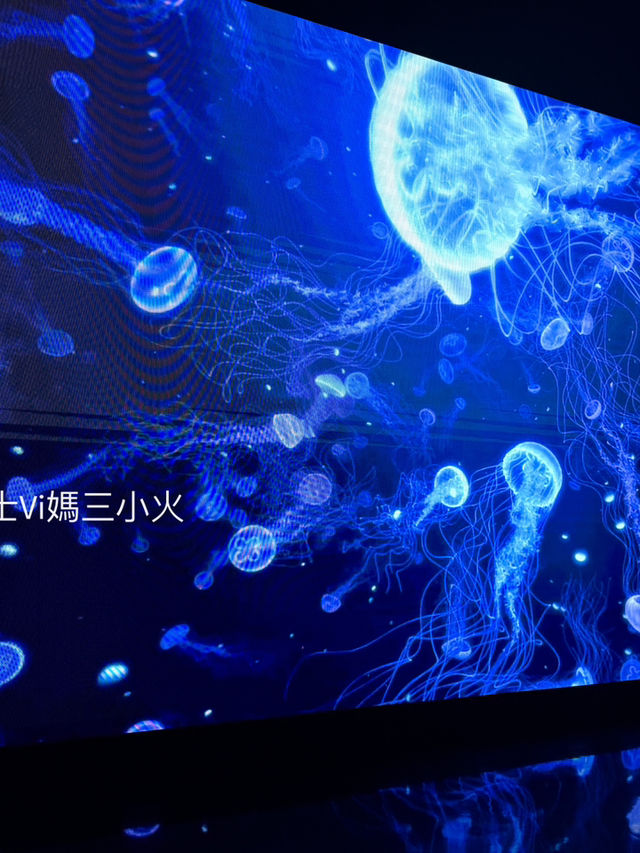 《沖繩親子景點| DMM水族館》