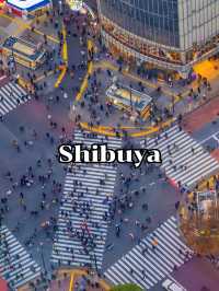 Shibuya 