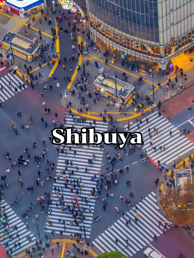 Shibuya 