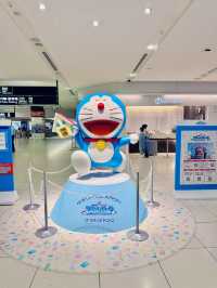 🍜 삿포로 당일치기 코스 : 신치토세 공항 → 스스키노
