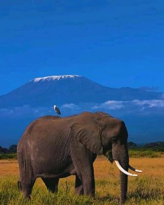 4 DAYS OF RAW WILDERNESS & ICONIC VIEWS! 