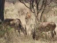 8 favourite captures in Tarangire National Park