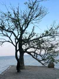 China’s Clearest Waters: Exploring Fuxian Lake