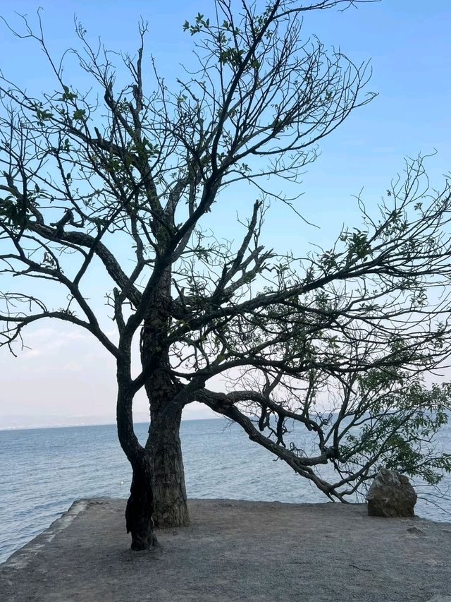 China’s Clearest Waters: Exploring Fuxian Lake