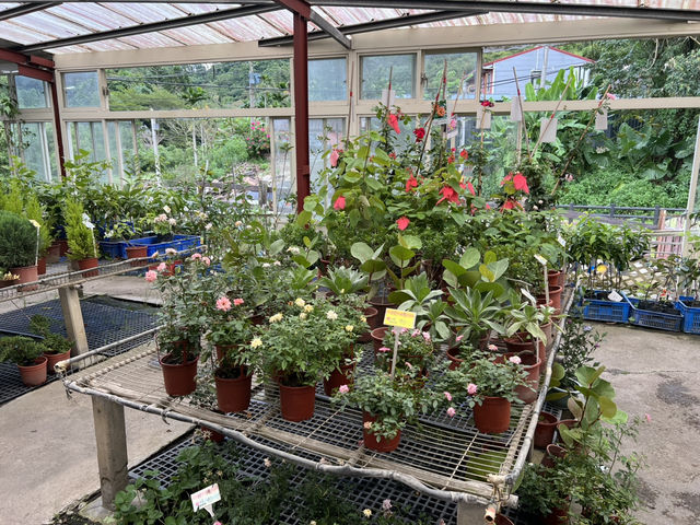 桃園大溪 天御花園 天御秘密花園 桃園大溪 天御花園 天御秘密花園