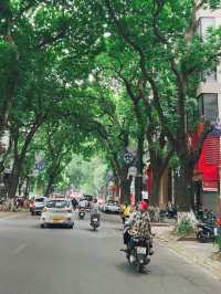 📸 Hành Trình Miền Bắc Việt Nam – 4 Điểm Không Thể Bỏ Qua