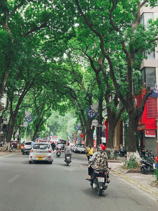 📸 Hành Trình Miền Bắc Việt Nam – 4 Điểm Không Thể Bỏ Qua