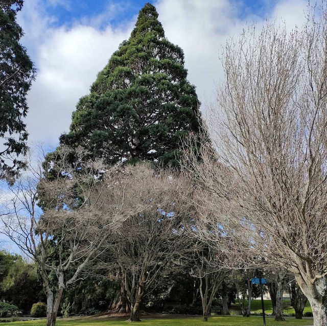 Pollard Park – Blenheim’s Lush Haven of Garden, Stream & Community Pollard Park – Blenheim’s Lush Haven of Garden, Stream & Community