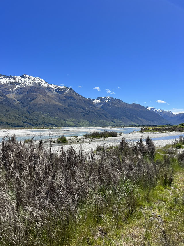 紐西蘭景點推薦—🐑 Glenorchy Animal Experience