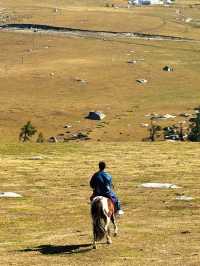 Nature’s Masterpiece: Altay