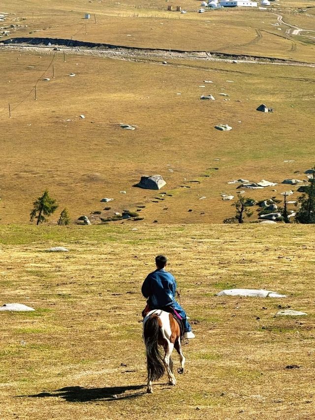Nature’s Masterpiece: Altay