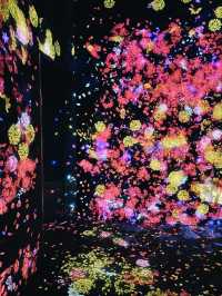 Borderless Escape 🌈