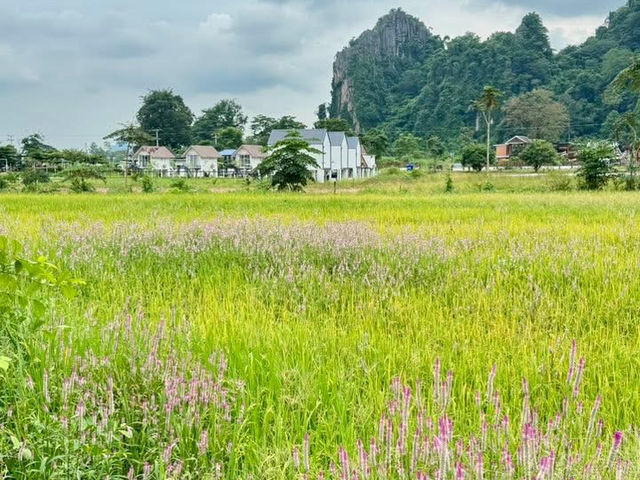 บ้านมุง หมู่บ้านเล็กๆ ในอำเภอเนินมะปราง 🌿