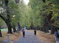  🌳 墨爾本市中心的秘密花園！Fitzroy Gardens 一日輕旅行