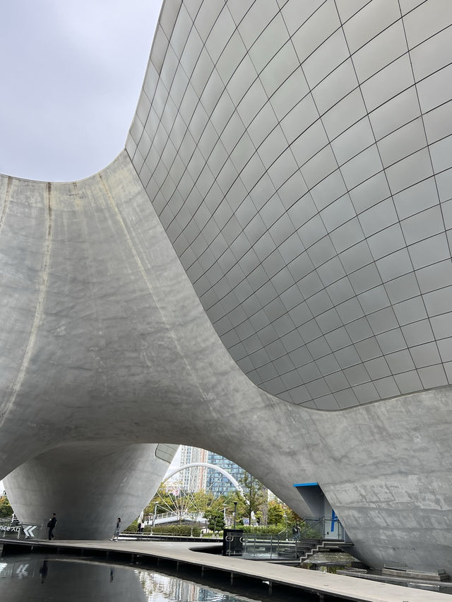 🌿 Songdo Central Park: สวนสวยกลางเมืองอินชอน 🌿 Songdo Central Park: สวนสวยกลางเมืองอินชอน