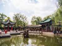 Green Lake Park (Cuihu Park, 翠湖公园) — The Heart of Kunming’s Serenity