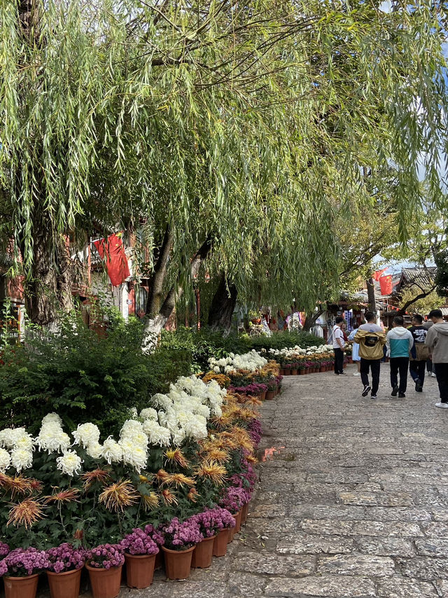 Lijiang Old Town: A Maze of Cobblestone