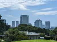 🌸 Seasonal Serenity at Shinjuku Gyoen National Garden