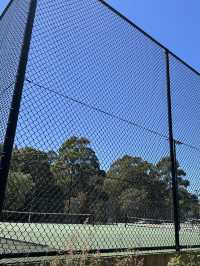 🌳 探訪「總理森林步道Prime Ministers’ Walk」：城市中的森林漫遊