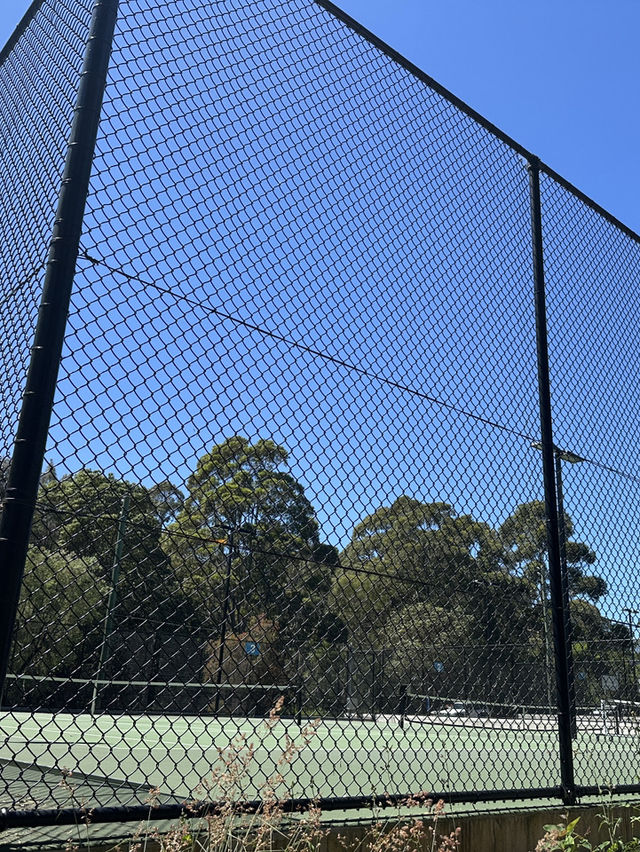 🌳 探訪「總理森林步道Prime Ministers’ Walk」：城市中的森林漫遊