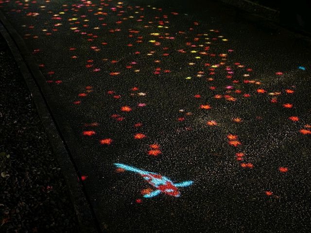 夜まで楽しめる🌃✨東京紅葉スポット 夜まで楽しめる🌃✨東京紅葉スポット