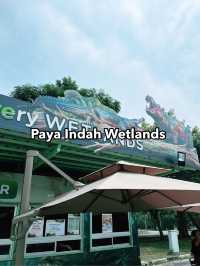 Weekend Escape to Paya Indah Wetlands: A Hidden Gem of Nature