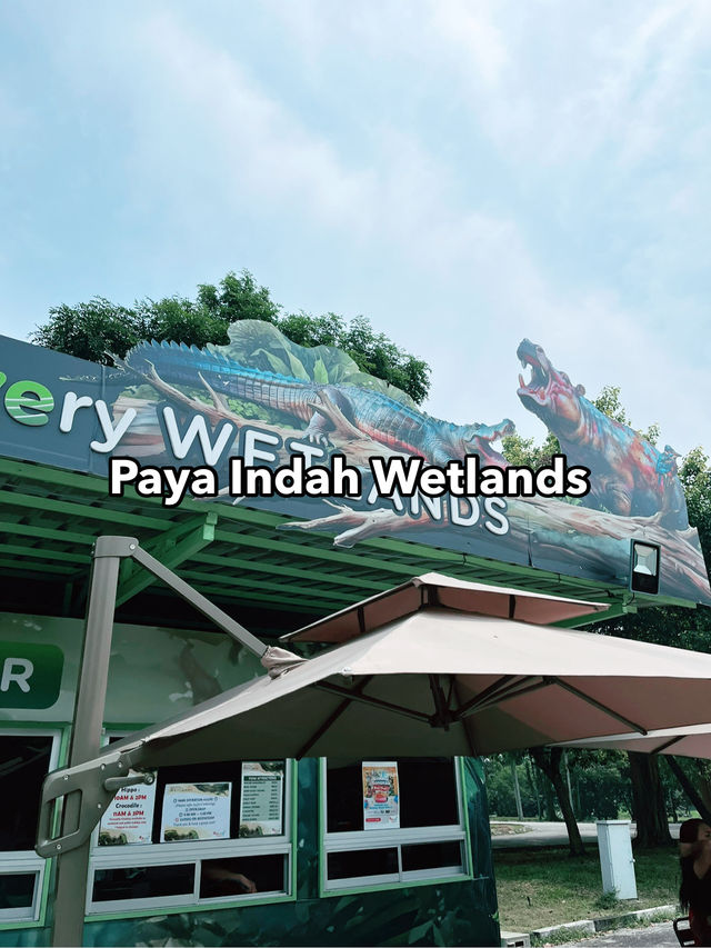 Weekend Escape to Paya Indah Wetlands: A Hidden Gem of Nature