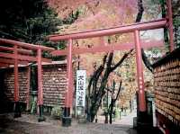 The Oldest Guardian: My Solo Visit to Inuyama Castle, Aichi