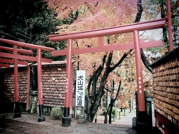 The Oldest Guardian: My Solo Visit to Inuyama Castle, Aichi