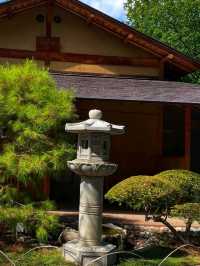 🌸 Japanese Friendship Garden – A Tranquil Oasis in Phoenix, Arizona