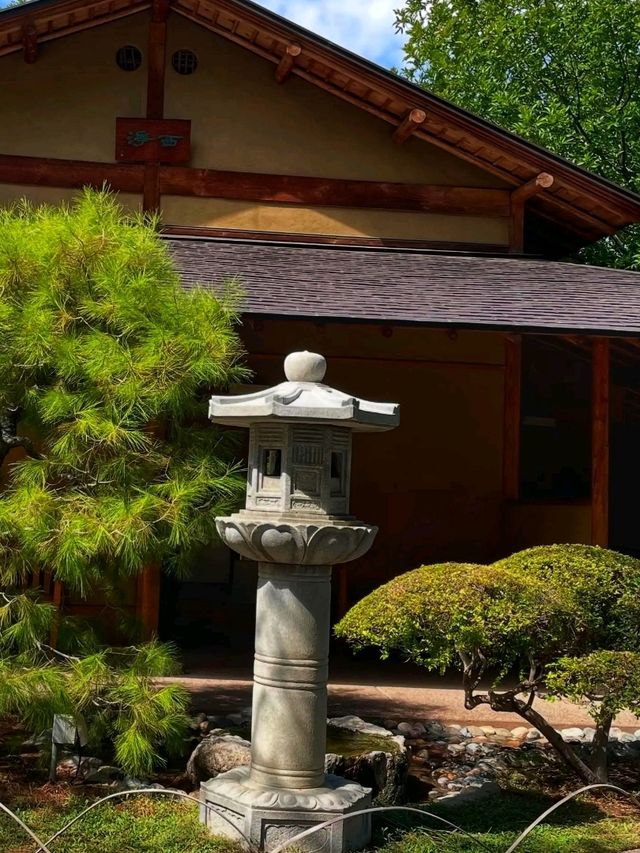 🌸 Japanese Friendship Garden – A Tranquil Oasis in Phoenix, Arizona
