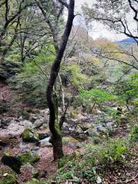 감탄했던 용문산 계곡 그리고 용문사🍁