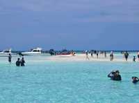 Komodo Wonders🌿 One Day Trip