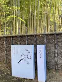 🍃 Nature, Architecture, and Sweets at Toraya Kobo in Gotemba