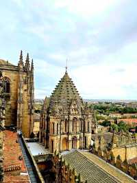 하늘을 향한 돌의 노래 살라망카대성당