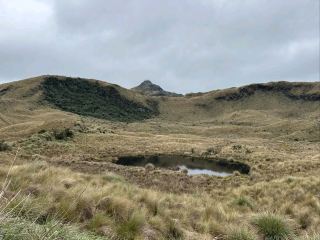 A Vast Wilderness of Mist, Mountains, and Magic