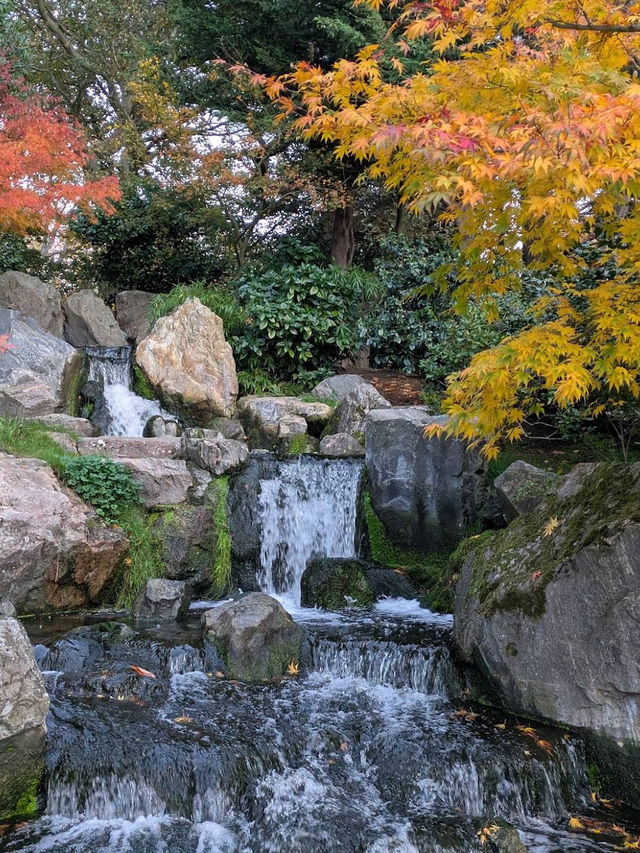 🌳✨ Green Escape & Elegance at Holland Park 🏞️