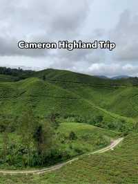 Cameron Highlands Short But Memorable Trip ✨