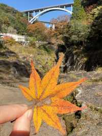 秋天的高千穗峽好美