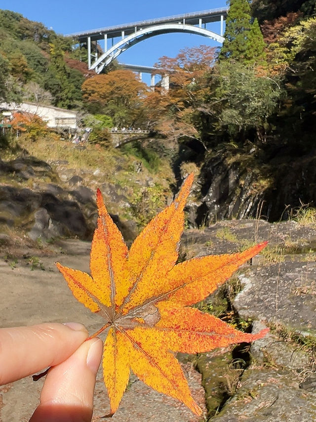 秋天的高千穗峽好美