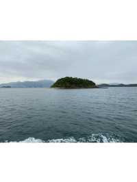 📸打卡香港秘境！荔枝窩客家村奇樹+海景一日遊