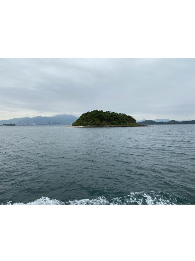 📸打卡香港秘境！荔枝窩客家村奇樹+海景一日遊