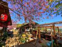 บ้านพักโปโป&ปิงปิง โฮมสเตย์ ขุนวาง