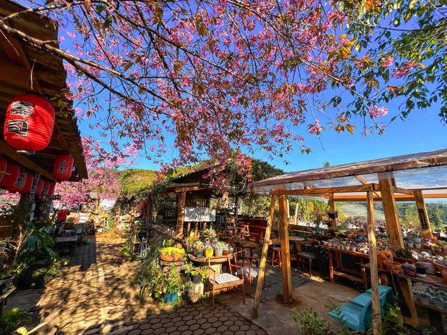 บ้านพักโปโป&ปิงปิง โฮมสเตย์ ขุนวาง บ้านพักโปโป&ปิงปิง โฮมสเตย์ ขุนวาง