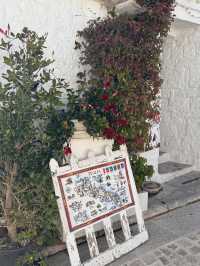 알베로벨로의 매력적인 산책