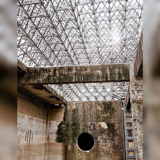 📷深圳文青打卡點📷